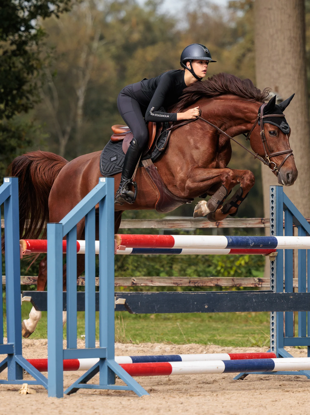 Black Diamond Jump Saddle Pad – Jewel Collection