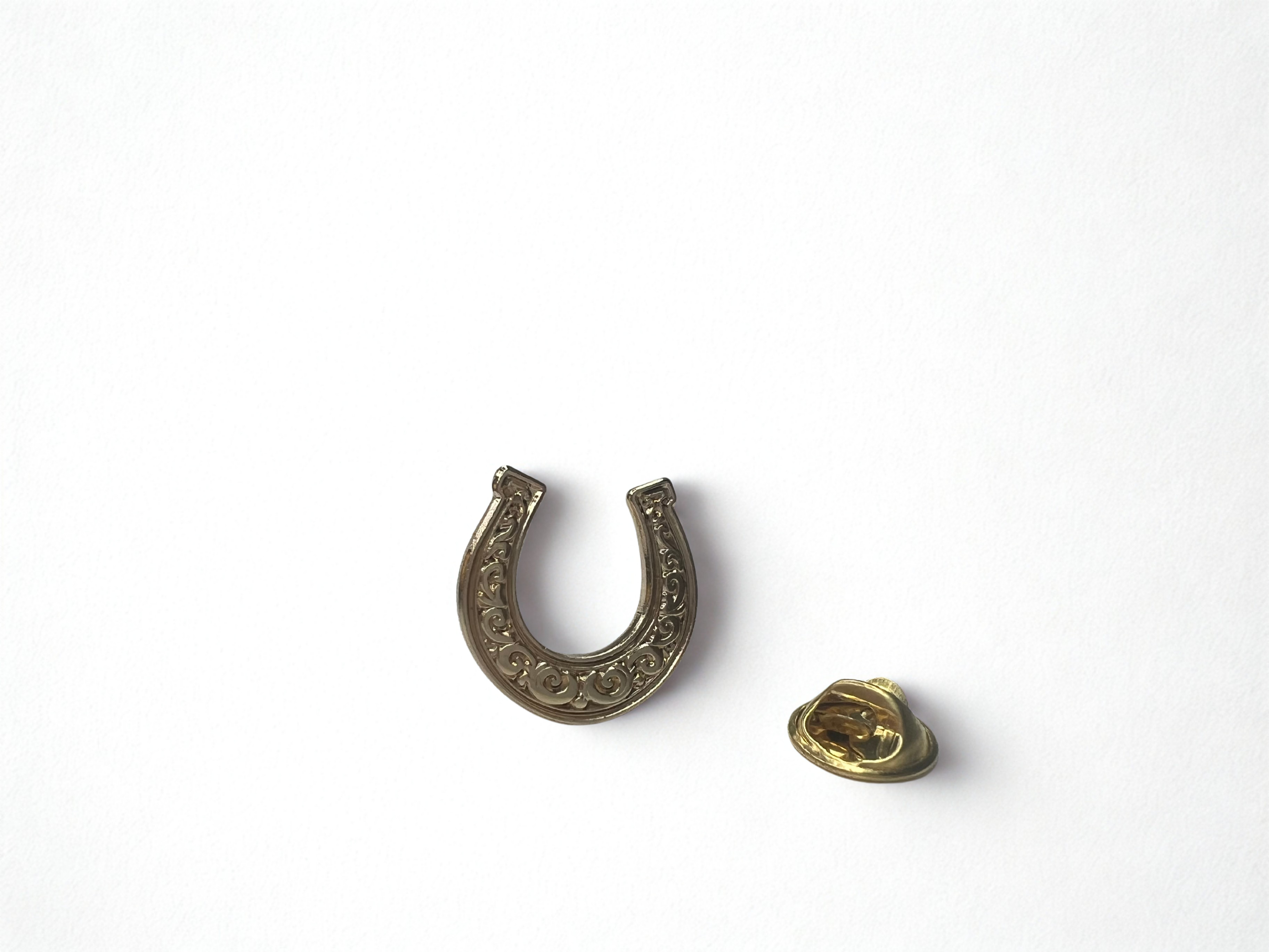 Lot de 5 Pins Collection Vermeille