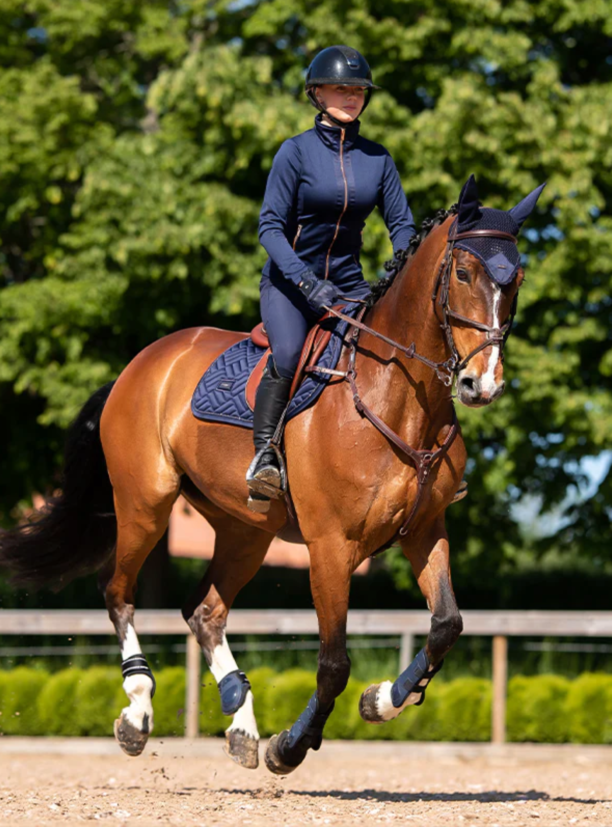 Sapphire Night Jump Saddle Pad – Jewel Collection